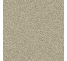 Линолеум Tarkett Space Tetto 2